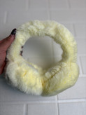 گوشگیر اقتصادی