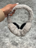 گوشگیر اقتصادی